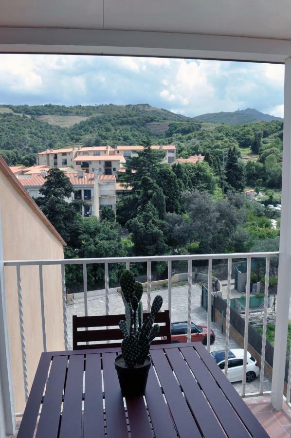 Ibanova Appartements 科利尤尔 外观 照片